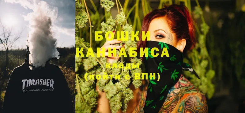 Канабис OG Kush  Любань 